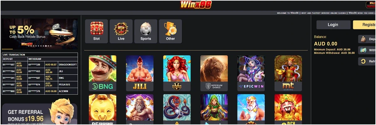 Overview of Winx96